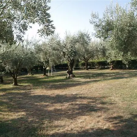 Panorama Villa